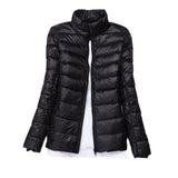 Spring And Autumn Winter Light Down Jacket Female Pure Color Standing Collar Slim Plus Large Size Short Coat Tide Direct Sales-Outfit