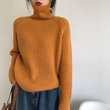 Wind, High Collar, Thin Sweater, Bright Silk Design, Solid Color Slim, Bottomed Sweater, Autumn And Winter Blouse-Outfit