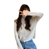 Fongt Thin V-Neck Long-Sleeved Sweater Coat Female Autumn 2024 New Korean Version Of Net Celebrity Large Size Bottom Shirt Tide-Outfit