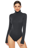Fall Winter High Neck Sheer
