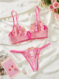 Pink Foliage Mesh Lingerie Set-Outfit