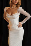 Sheer Long Sleeve Bodycon Maxi Dress-Outfit