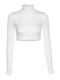 Turtleneck Long Sleeve Crop Top-Outfit