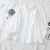 Fongt And Autumn 2025 New Grinding Shirt Female Korean Version Of The Design Sense Niche Blouse Lantern Sleeve Students Long-Sleeved Shirt