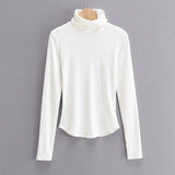 Women 2020 Fashion Solid Crop Turtleneck Knitted Sweater jumper big strethy Slim Pullovers Chic Tops
