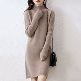 Fongt Winter Money Small Slim Show Thin Bottom Shirt To Keep Warm Simple Pure Color Shirt Female Half High Collar Long Sweater-Outfit