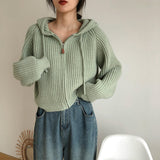Vintage Zip Up Knitted Hooded Cardigan-Outfit
