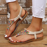 Style Clip Toe Sandals Women 2023 Summer Flat Heels Gladiator Sandals Woman Plus Size 43 Rome Beach Shoes Flip-Flops-Outfit