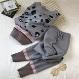 Print Knitted 2 Piece Sets For Women Casual Loose V-neck Sweater Pullovers Outfits And Contrast Color Harem Pants