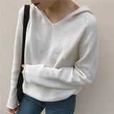 Trend Ins Hooded Sweater Sweater Thin Autumn Sweater Long-Sleeved Sweater Jacket-Outfit