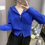 Fongt Zipper Sweater Jacket Cardigan 2024 Spring And Autumn Wear A Small Design Of Small Short Hooded Knitted