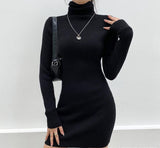 High Neck Long Sleeve Hip Dress-Outfit
