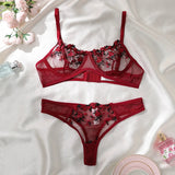 Mesh Floral Bra And Panty Lingerie Set-Outfit