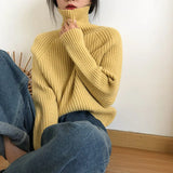 Wind, High Collar, Thin Sweater, Bright Silk Design, Solid Color Slim, Bottomed Sweater, Autumn And Winter Blouse-Outfit