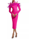 Fashion Dress Women 2025 Early Spring New Ostrich Hair Splicing Design With A Long-Sightbrowed