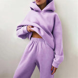Women's Tracksuit Autumn Fleece Sweatshirts Two Piece Set Casual Oversized Solid Female Sports Hoodie Suit Long Pant