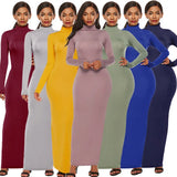 Polyester Spandex Fashion Solid Color Long Sleeve Stretch Slim Turtleneck