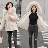 Winter 2023 New Women's Down Padded Clothes Cotton Clothes Women's Winter-Outfit