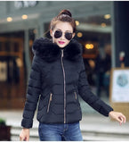 2023 Autumn And Winter New Women's Cotton Coat Short Big Wool Korean Version Of Large Size Women's Cotton Padded Jacket-Outfit