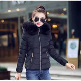 2023 Autumn And Winter New Women's Cotton Coat Short Big Wool Korean Version Of Large Size Women's Cotton Padded Jacket-Outfit