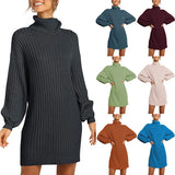 Fongt And Winter New Women's Turtleneck Medium Long Sweater Sweater