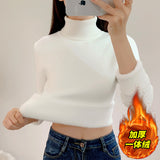 Sweater Female 2023 Thick One Velvet Bottom Shirt With Slim Long Sleeve Soft Waxy Knit Top-Outfit