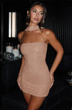 Sequin Tube Bodycon Mini Dress With Sparkle Scarf Collar-Outfit