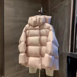 Advanced Sense Plus 90 White Duck Down Down Jacket Female 2024 Autumn And Winter New Short Hoodie Station Loose Coat Tide-Outfit