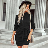 Fongt Autumn / Winter 2024 Embroidered Skirt Women's Knitted Turtleneck With Hip Dress-Outfit