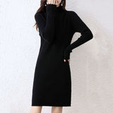 Fongt Winter Money Small Slim Show Thin Bottom Shirt To Keep Warm Simple Pure Color Shirt Female Half High Collar Long Sweater-Outfit