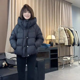 The Temperament Texture Hooded White Duck Down Down Jacket Short Jacket Female Winter Casual Fashion Puff Bread Clothing Add Thick And Versatile-Outfit