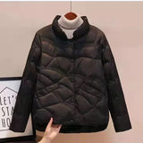 New Korean Fashion Elegant Women Padded Cotton Coats Stand Collar Single Breasted Parkas Solid Long Sleeve Warm Jackets-Outfit