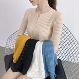 And Winter Design Round Collar Leaky Clavicle Knitted Bottomed Shirt A Slim Short Pit Striped Thin Sweater Button Blouse-Outfit