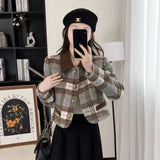 Fongt Style Hairy Short Coat 2025 New Women's Autumn And Winter Cotton Thicken French High-End Feel