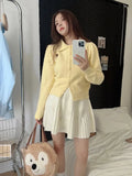 Knitted Pleated Mink Skirt-Outfit