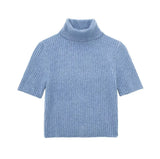 New Short-Sleeved High-Necked Jumper Slim Short-Style Knitted Sweater 2142206-Outfit