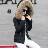 2023 New Autumn And Winter Korean Version Big Hair Collar Short Cotton-Padded Clothes Female Slim Show Thin Korean Version Cotton-Padded Jacket Students-Outfit