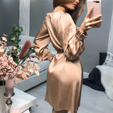 Fongt Dingy Mid-Rise Long-Sleeved Collar Dress Temperament Commuting Short Dress Solid Color Women's