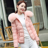 2023 New Autumn And Winter Korean Version Big Hair Collar Short Cotton-Padded Clothes Female Slim Show Thin Korean Version Cotton-Padded Jacket Students-Outfit