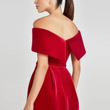 Velvet Off Shoulder Solid Mini Dress-Outfit