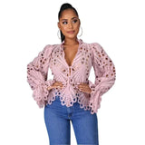 Long Sleeve Hollow Out Mesh Lace Sheer See Through