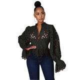Long Sleeve Hollow Out Mesh Lace Sheer See Through