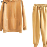 and Winter 2023 New Hooded Sweater Plush Thickened Two-piece Loose Pants Hooded Sweatshirts Women's Tracksuit Female