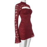 Mesh Lace Turtleneck Sleeve Mini Dress-Outfit