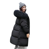 New Korean Version Of Long Cotton-Padded Clothes Women Loose And Thick Down Cotton-Padded Jacket Big Wool Collar Jacket Cotton-Padded Jacket Women-Outfit