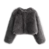 Fongt Women's Clothing 2025 Autumn And Winter Multi-Colored Artificial Fur Short Jacket Jacket Women E48063