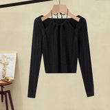 Winter Knitted 2 Piece Sets Women Long Sleeve Knitted Sweater And High Waist Mesh Long Skirts Sets For Women