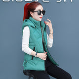 2023 New Down Cotton Vest Autumn And Winter Short Cotton-Padded Jacket Winter Horse Clip Can Take Off The Hat Vest Female Pure Color Vest-Outfit
