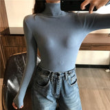 Autumn New Slim Long Sleeve Jumper Women Turtleneck Knitted Pullover Winter Sweater Women Soft Warm Sweater Pull Femme