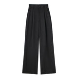 New Spring Style Pleated Front High Waist Trousers 7102528-Outfit